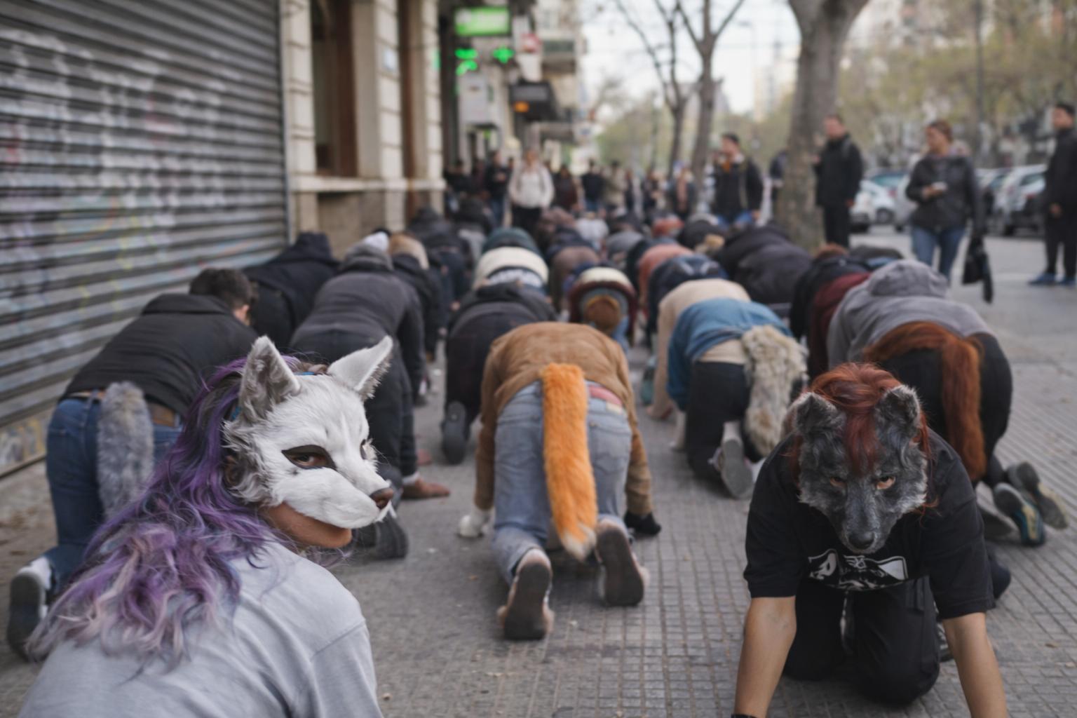Abren en Argentina escuela “therian”: enseñan a alumnos a caminar y comportarse como animales