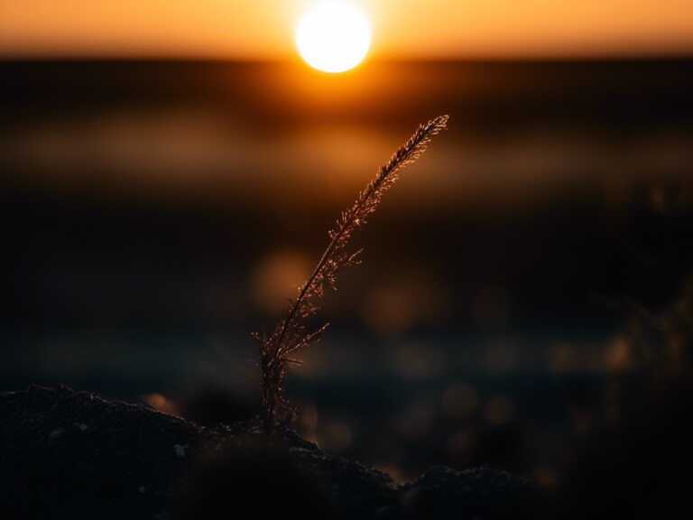 Primera ola de calor de 2025 ya llegó a México con temperaturas extremas