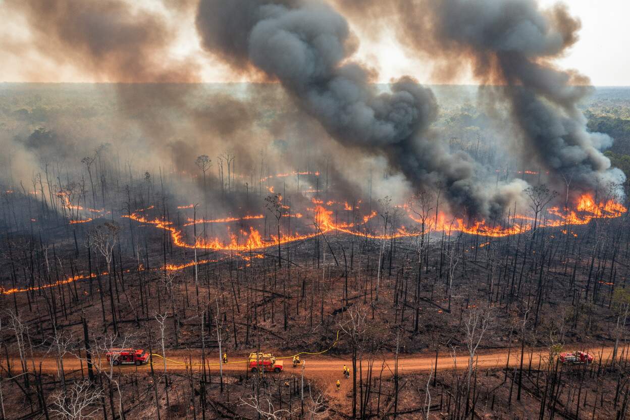 Incendios forestales se disparan en 2026: El Niño amenaza con más catástrofes climáticas